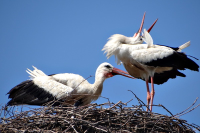 Na návštěve v Krásných Loučkách