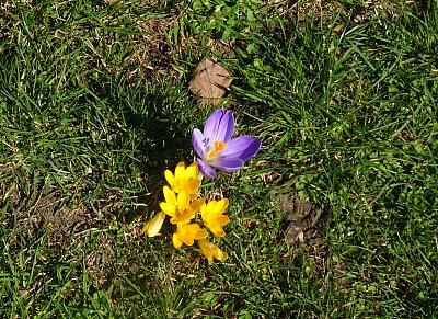 Radost z maličkosti