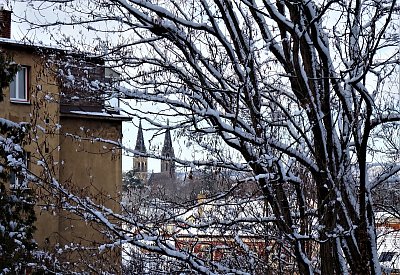 Pohled na Vyšehrad *