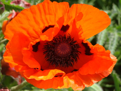 ....a takto vypadám uvnitř !