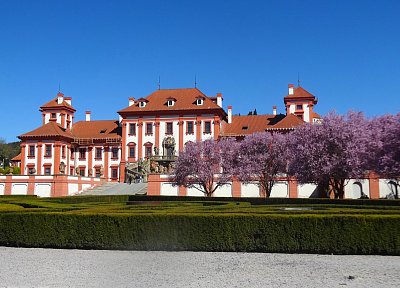 Trojský zámek v sakurách oděný