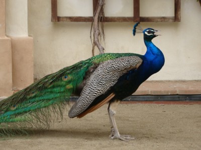 ...asi nám něco říká !