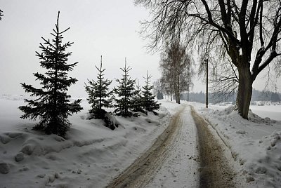 Vzpomínka na zimu.