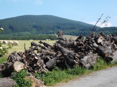 Vysloužilci ze hřbitova