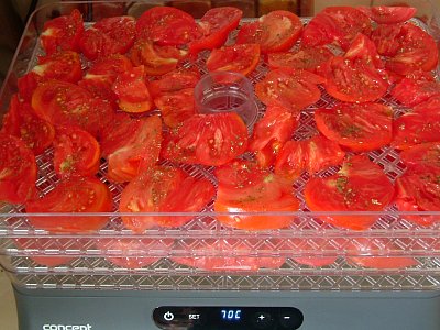 sušení rajčat