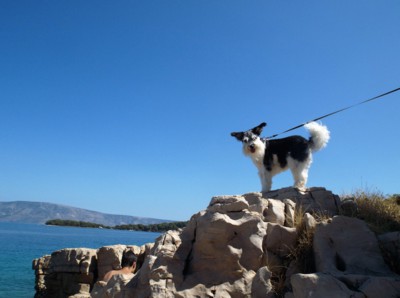 ...nechtějí, bych skočil...:))