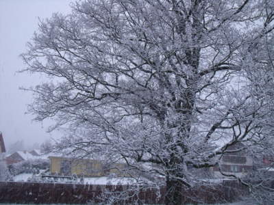 Nesoutěžně...dnešní ráno