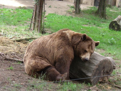 To jsem ale unavený