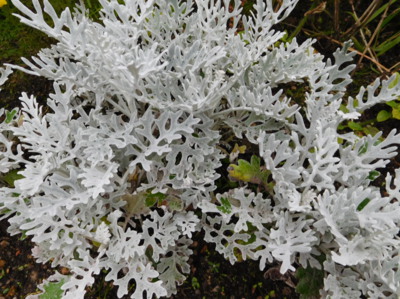 Jen pro ten dnešní den