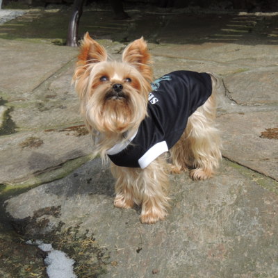 Tak znovu čekání jara