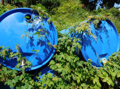 Každý si to své najde