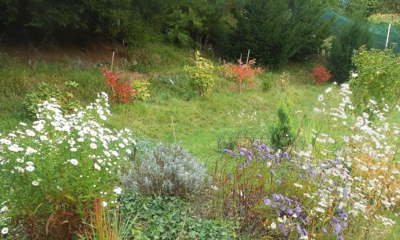 Podzim už se tiše blíží, ale ještě nevyhrál