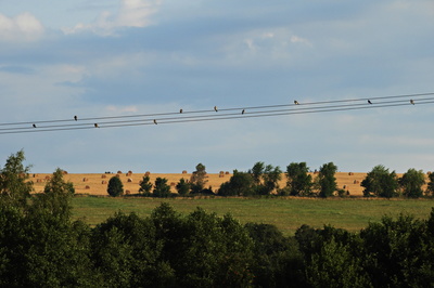 Noty pozdního léta