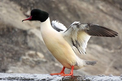 Už jste dnes cvičili?