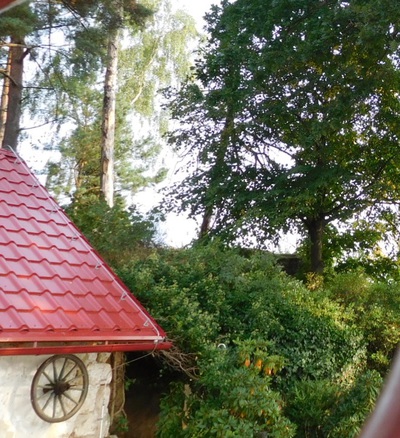 Než všechno opadá