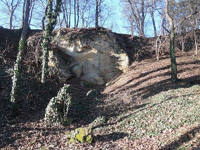 Pískovec v Zahradě Kinských*