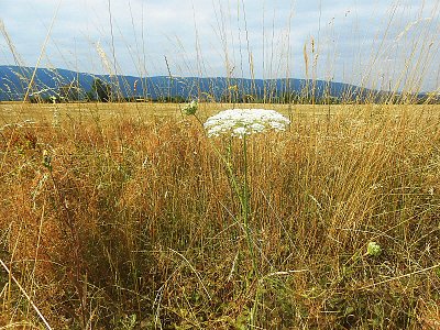Fotoreportáž: Léto si hraje