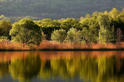 Jaro na Zlatém jezeře*