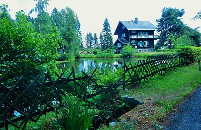 Osamocená kráska  v lese.