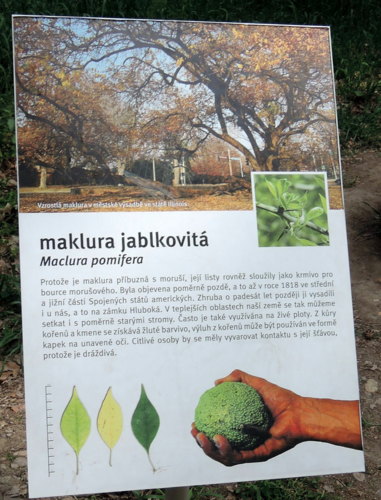 Odpověď na včerejší "Co je to?" Popis z BZ Troja.