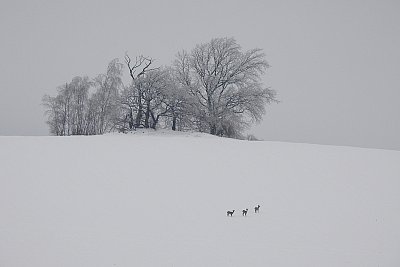 Zima jak se patří*