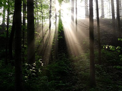 Slunečné kouzlení