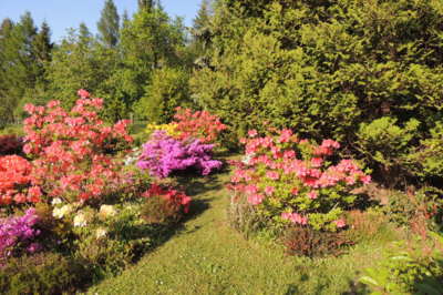 všechno, všechno kvetlo