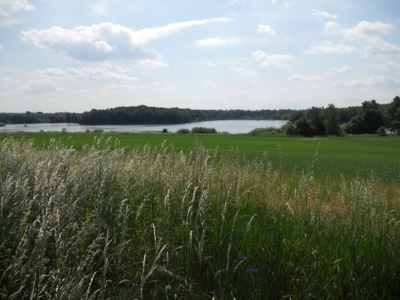 tam někde za Třeboní.....