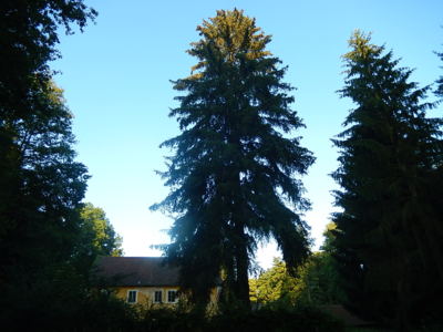 Poslední jarní večer