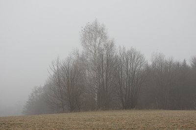 Mlha přede mnou, mlha za mnou