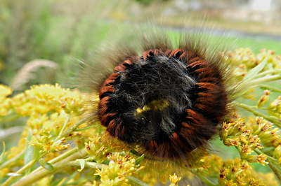 Vím, nejsem cool, nejsem oholená