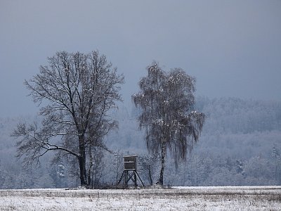 Poslední záchvěv zimy?