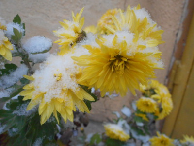 Září jako sluníčko.