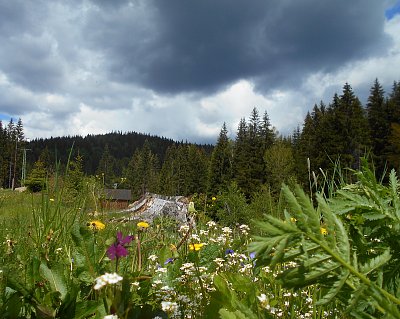 kolem řeky