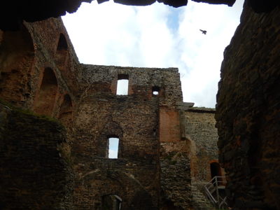 Krakovec - okem myšky