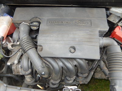 Stádo koní - pod kapotou