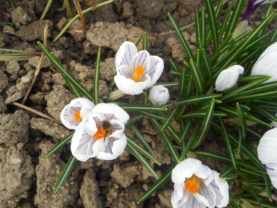 Vystrčila na mě zadek.