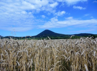 Královna Českého středohoří