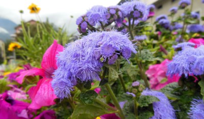 Léto ještě nekončí