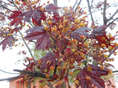 Přeji krásné velikonoce.