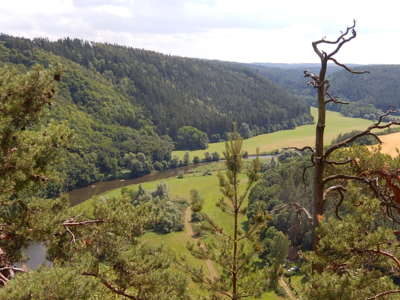 Berounka z PR Třímanské skály