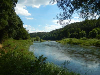 Berounka proti proudu - nad Krašovem.