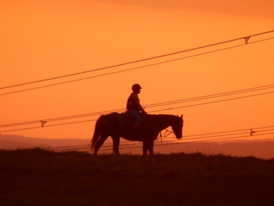 Viděno z posedu III