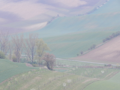 Ta naše Moravěnka...neupravená....:)