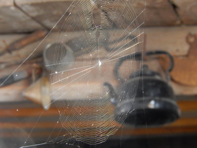 Pavučina na  přívěsu