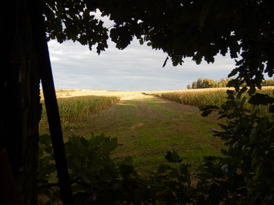 Okem  myslivce na čekané*