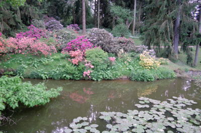 Průhonický park vždy krásný.