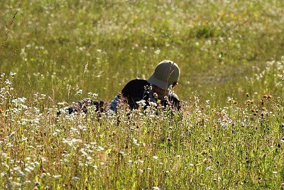 Našla jsem v trávě