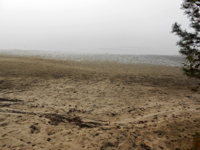 Odhalené Máchovo jezero