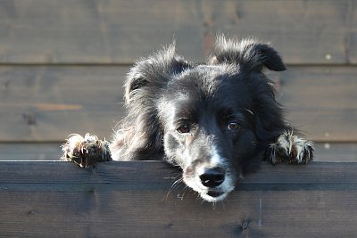 Ahóóój, kam jdeš?